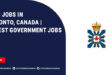 CSIS Jobs